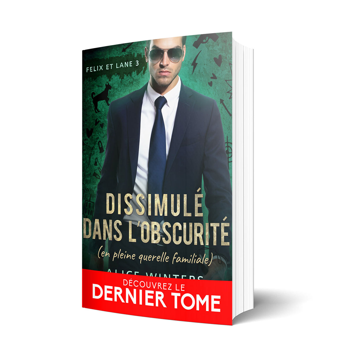 Dissimulé dans l'obscurité (en pleine querelle familiale) - Les éditions Bookmark