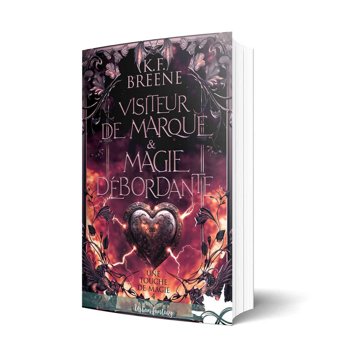 Visiteur de marque & magie débordante