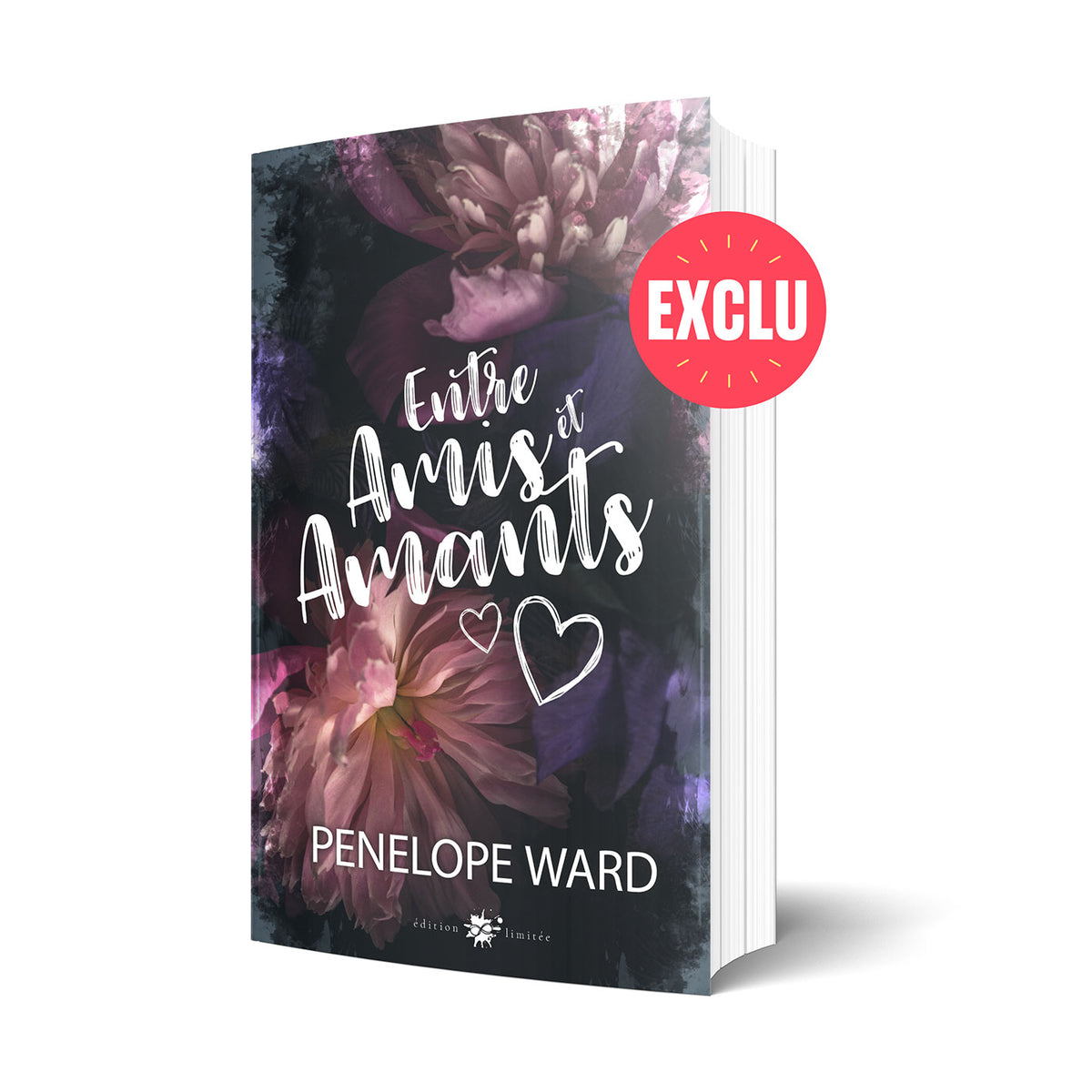 Amis, Amants, Chocolat (2) - McCall Smith, Alexander, Skopan, Martine - Livres