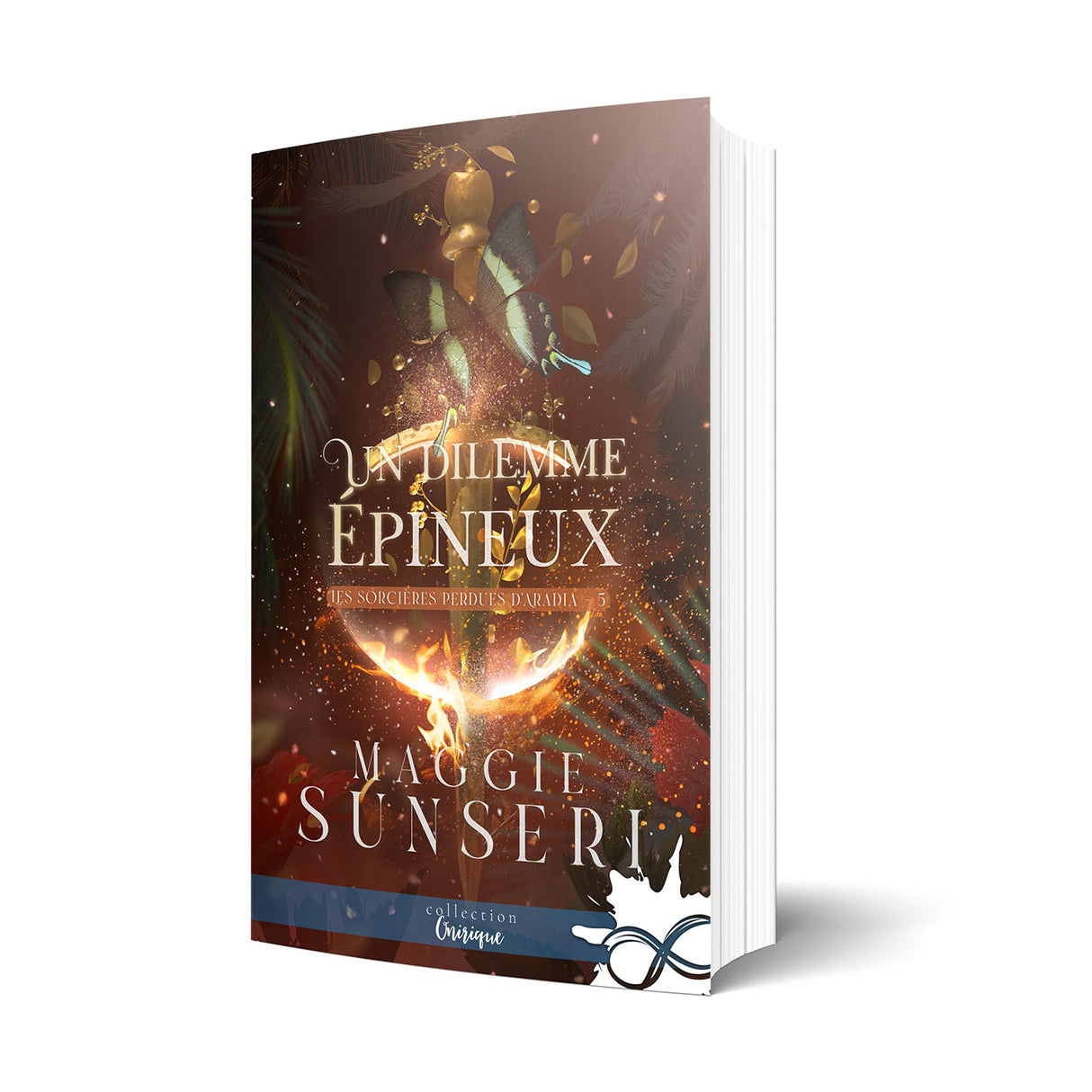 Un dilemme épineux - Les éditions Bookmark