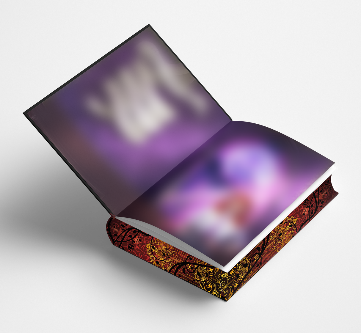 L'académie de la dernière chance - Les éditions Bookmark