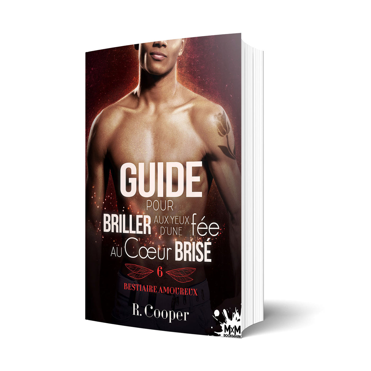 Guide pour briller aux yeux d'une fée au cœur brisé - Les éditions Bookmark