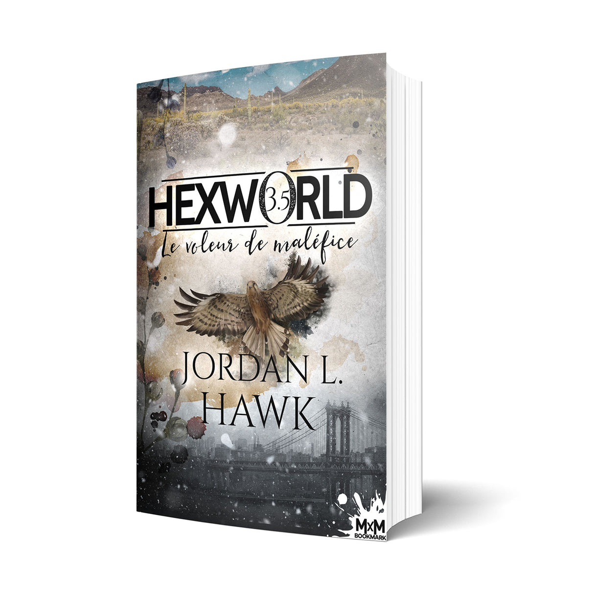 Le voleur de maléfice - Les éditions Bookmark