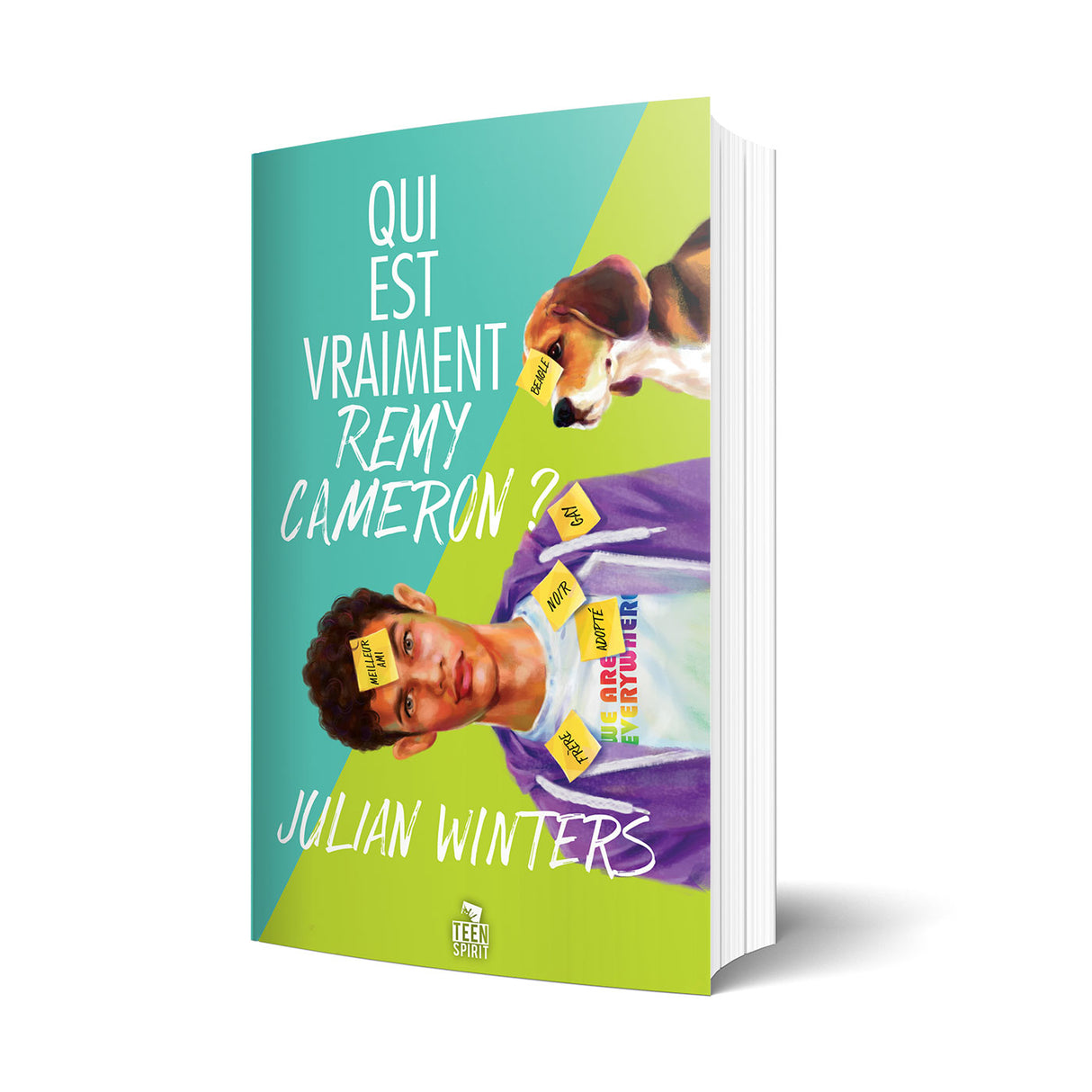 Qui est vraiment Remy Cameron ? - Les éditions Bookmark