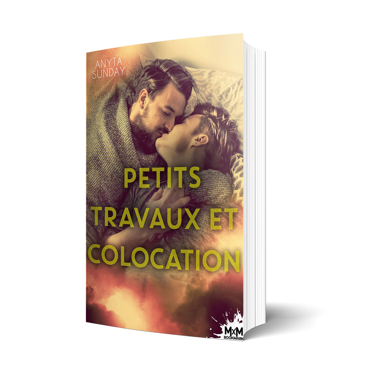 Petits travaux et colocation - Les éditions Bookmark