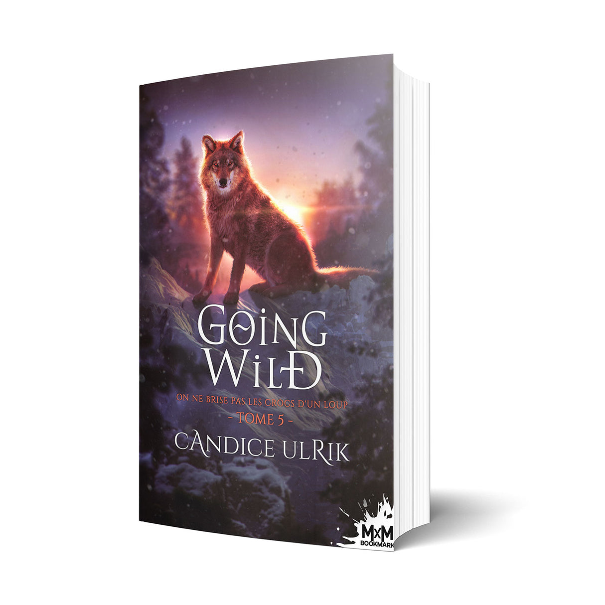 On ne brise pas les crocs d'un loup - Les éditions Bookmark