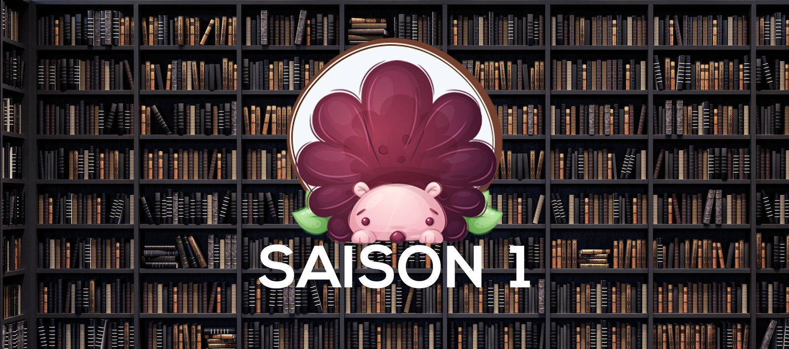 Lancement de la saison 1 !