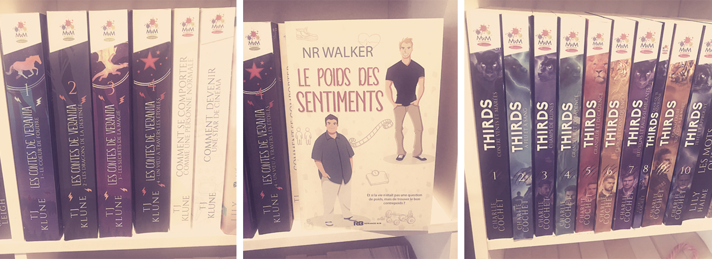 Dans la bibliothèque de "La Bibliophilie d’Alaïne"