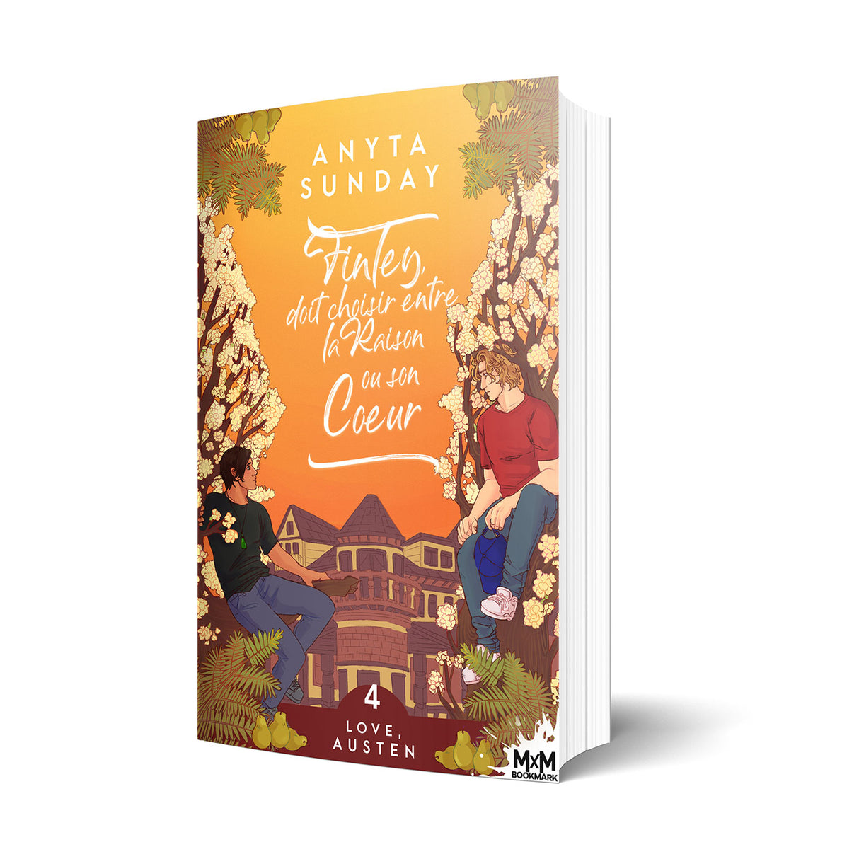 Finley doit choisir entre la raison ou son coeur - Les éditions Bookmark