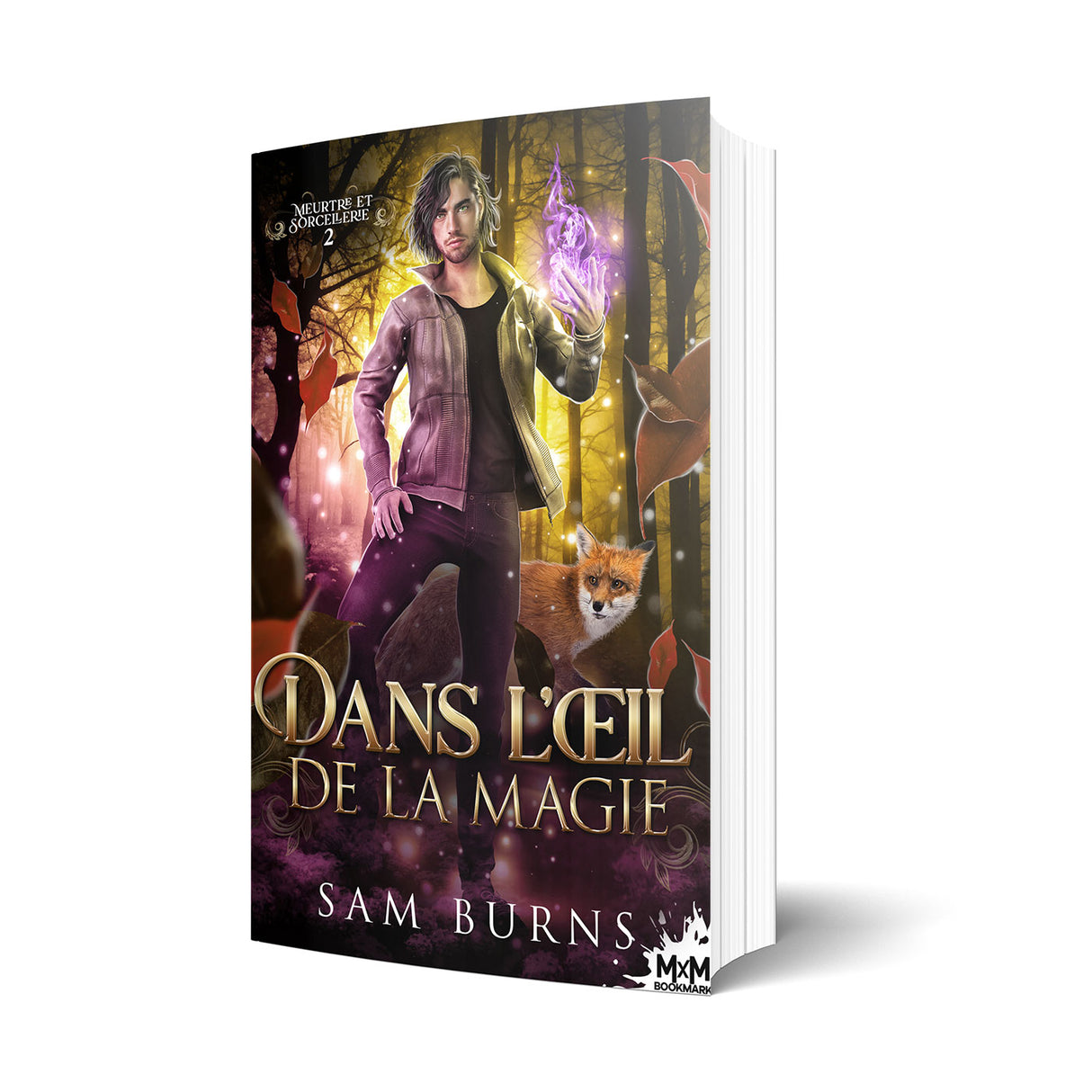 Dans l’œil de la magie - Les éditions Bookmark