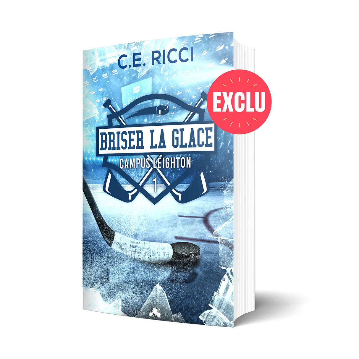 Briser la glace - Les éditions Bookmark