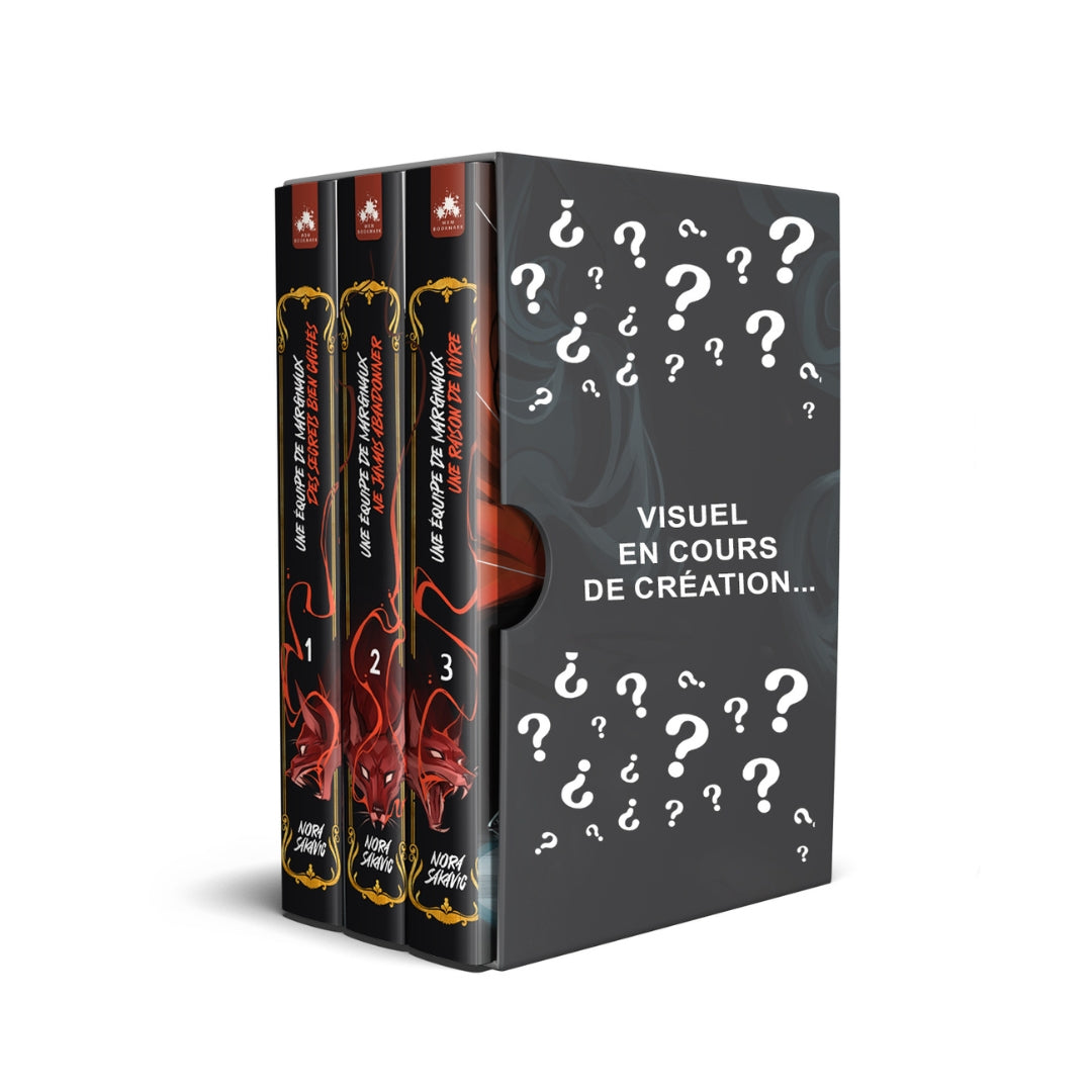 Coffret Collector Une équipe de marginaux