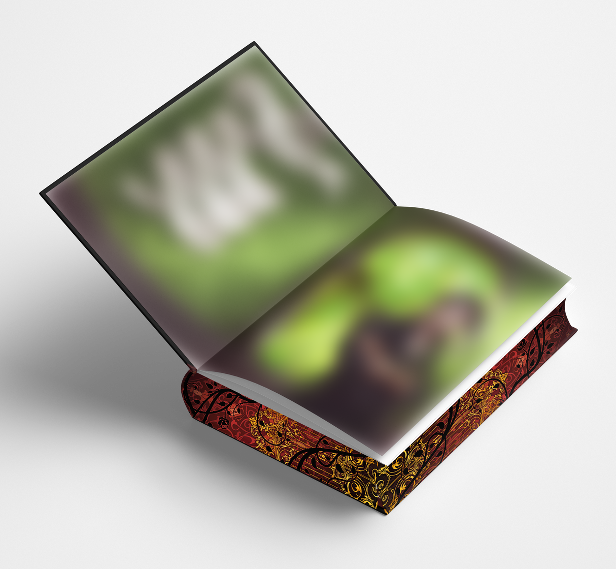 L'académie de la dernière chance - Les éditions Bookmark