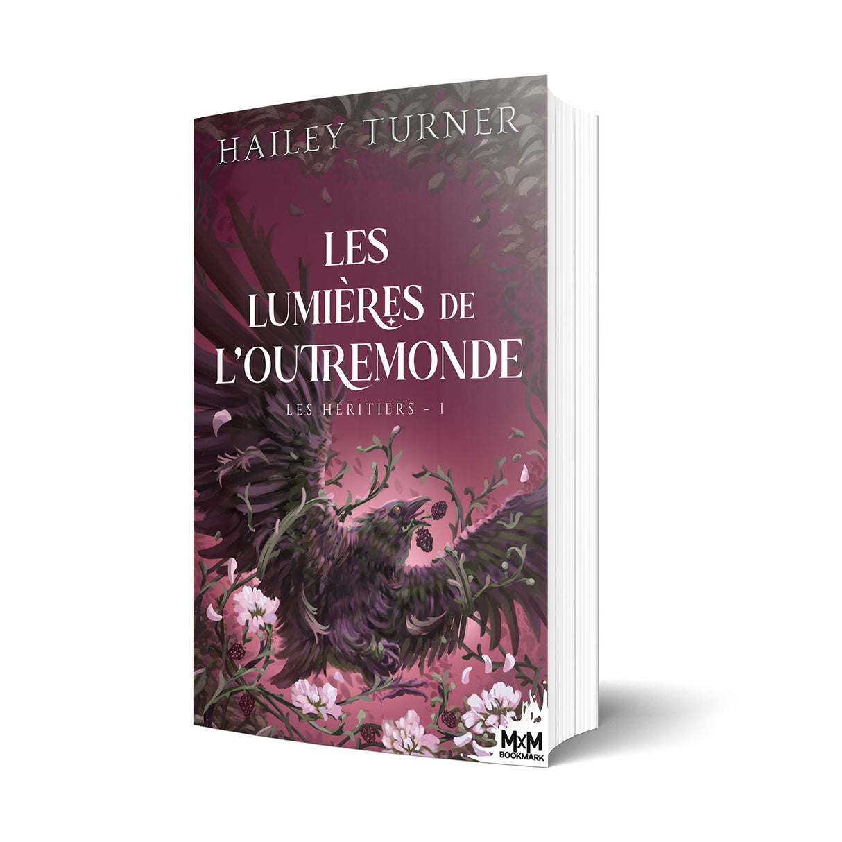 Les Lumières de l’Outremonde
