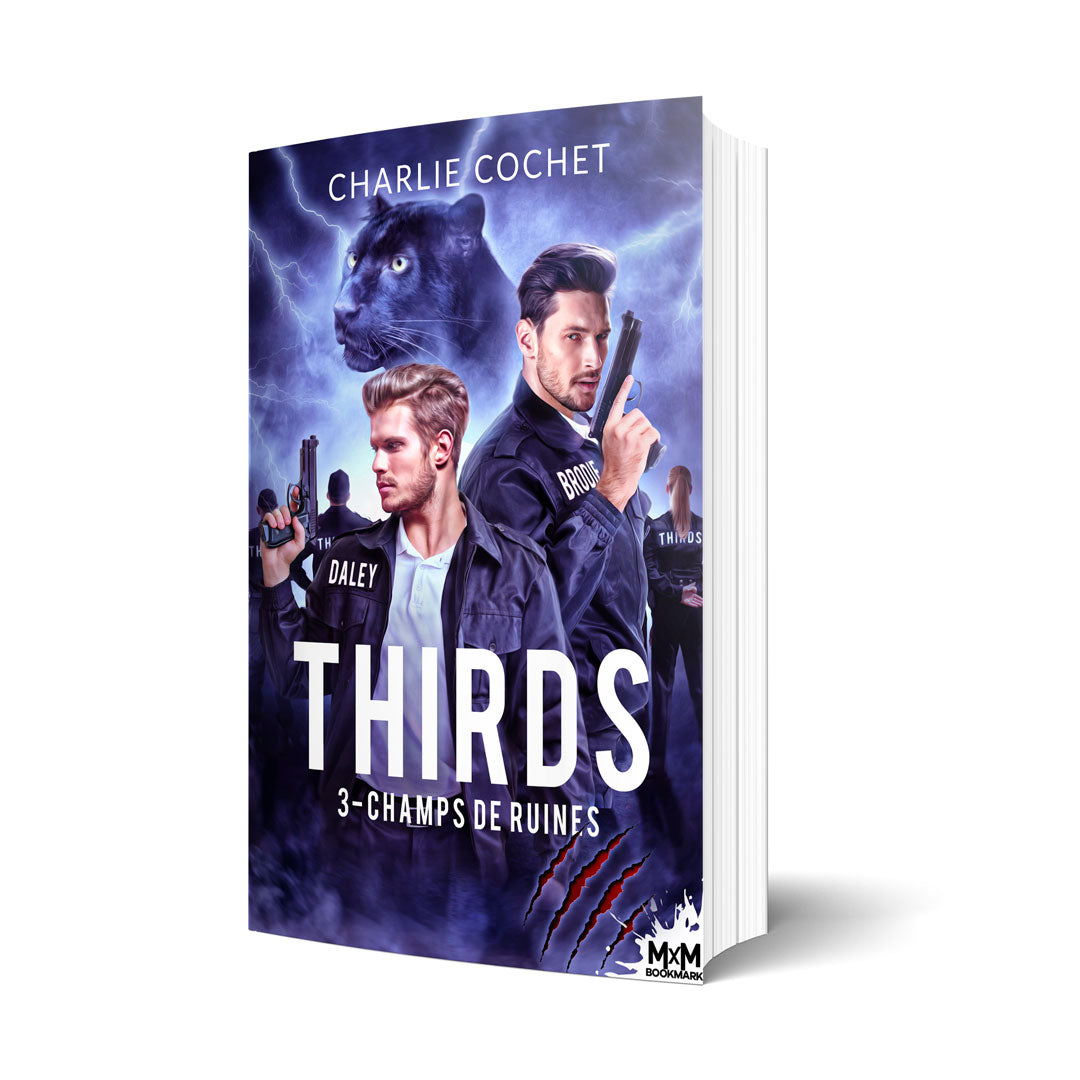 Champs de ruines - Les éditions Bookmark