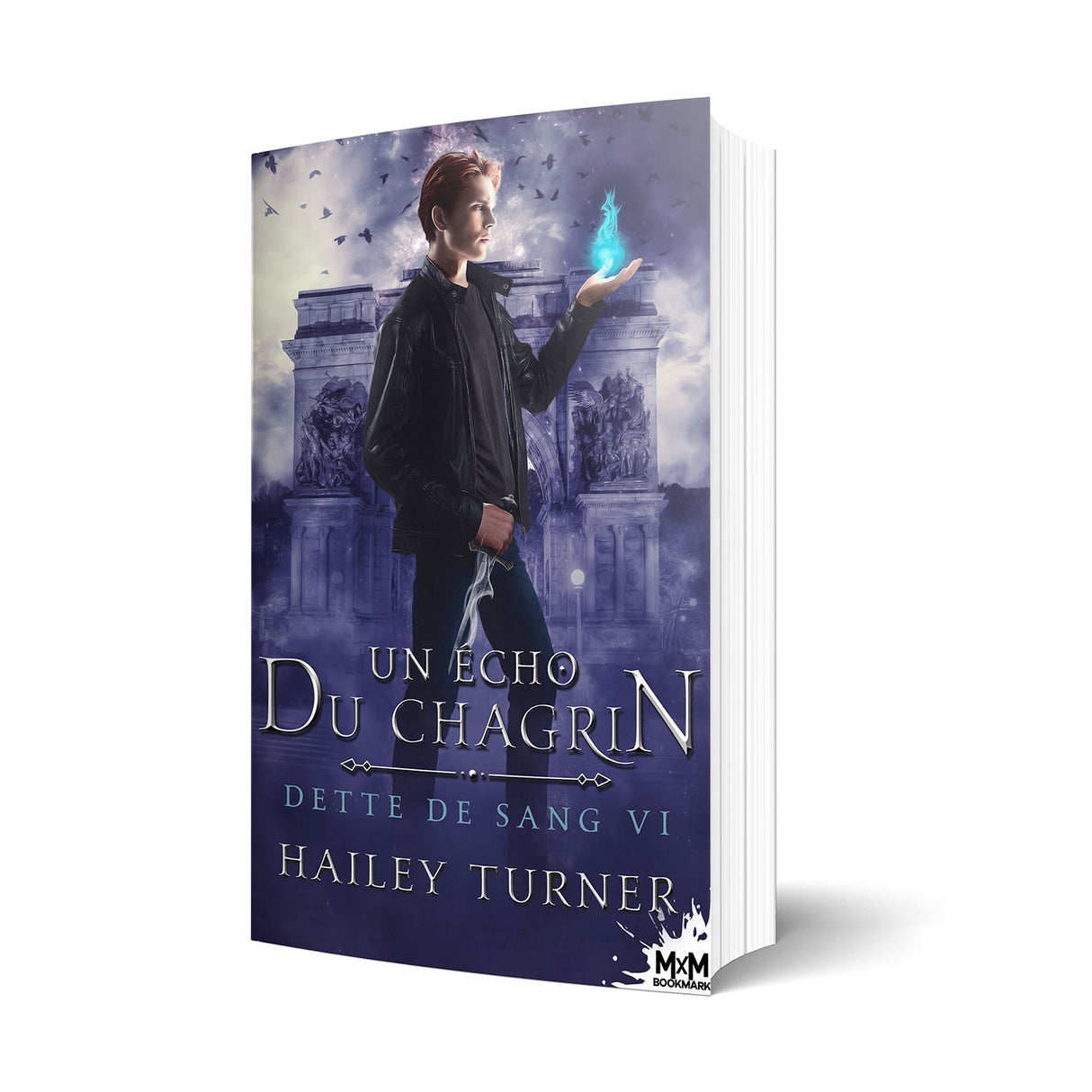 Un écho du chagrin - Les éditions Bookmark