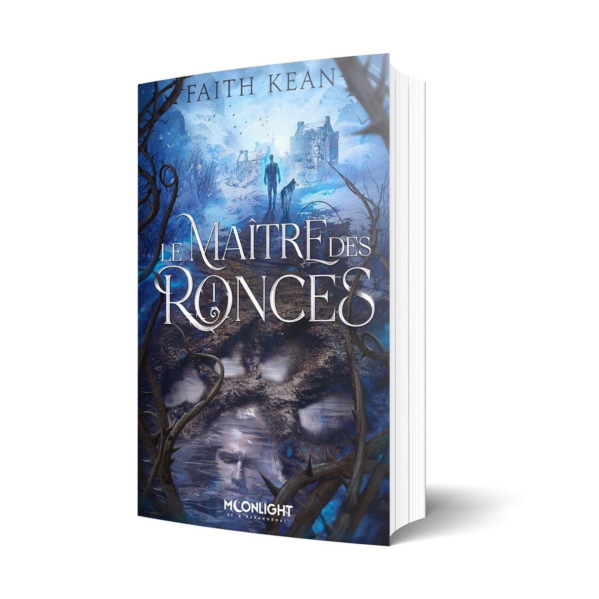 Le Maitre des Ronces - Les éditions Bookmark