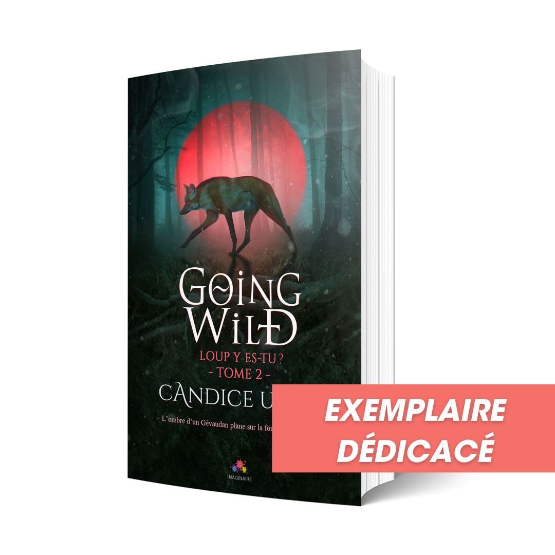 Loup y es-tu ? - Les éditions Bookmark